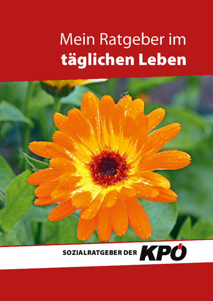 Dateivorschau: KPOE-Sozialratgeber2024_SCREEN.pdf