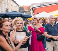 Volkshausfest 2024 1.jpg