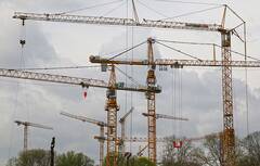 cranes-566634_960_720.jpg